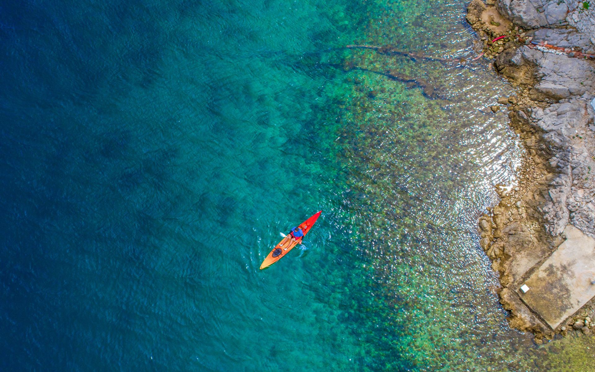 Kayak Experience